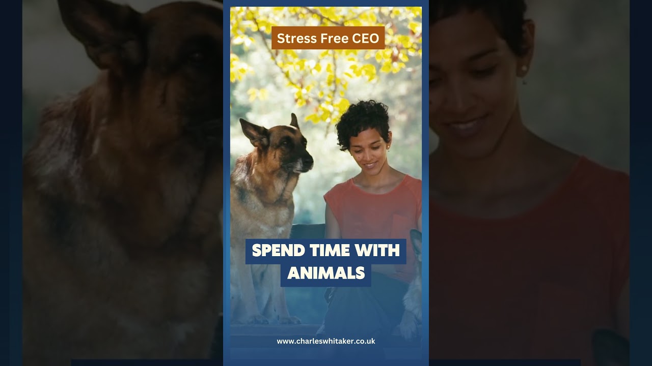 The Healing Power of Animals: Reduce Stress and Anxiety by Spending Time with Our Furry Friends