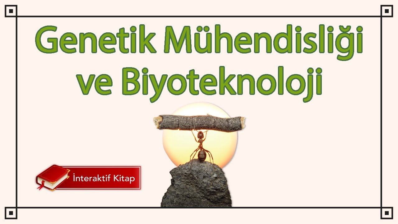 AYT Biyoloji | Genetik Muhendisligi ve Biyoteknoloji #sayfa144