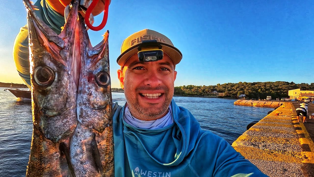За Баракуди на повърхностни примамки! Crazy Garfish ги побърка! Top Water Fishing!