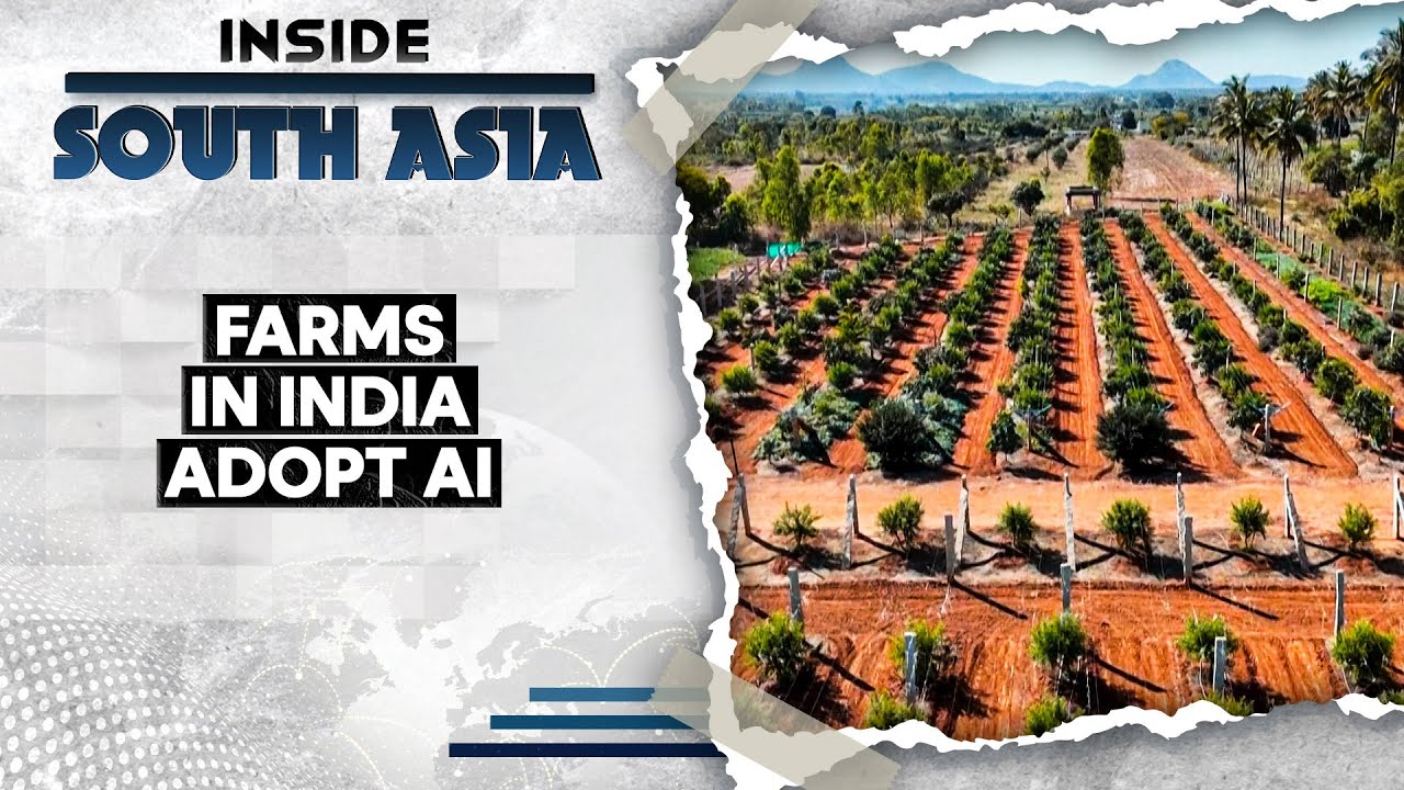 Artificial Intelligence In Agriculture: The India Growth Story | Inside South Asia | WION