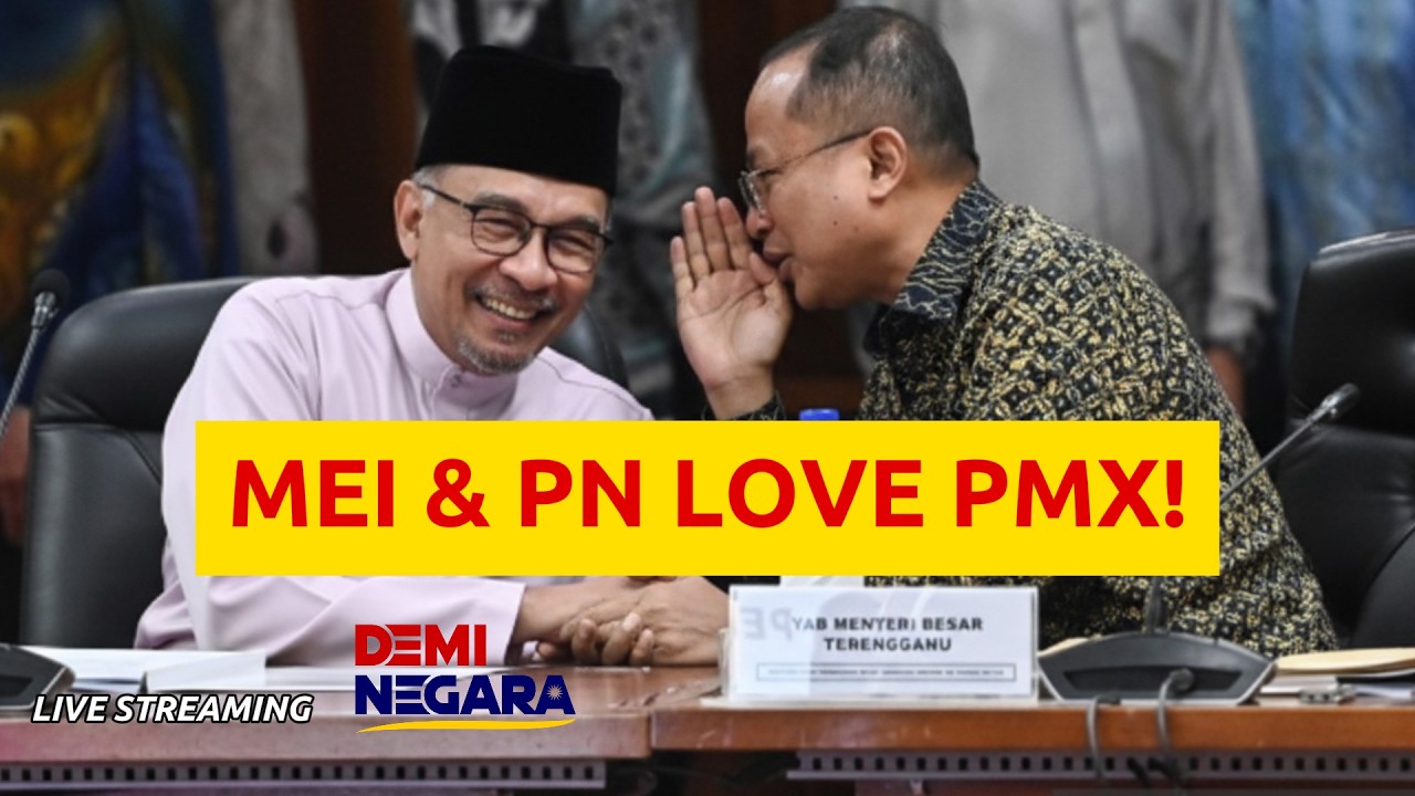 MEI & PN LOVE PMX