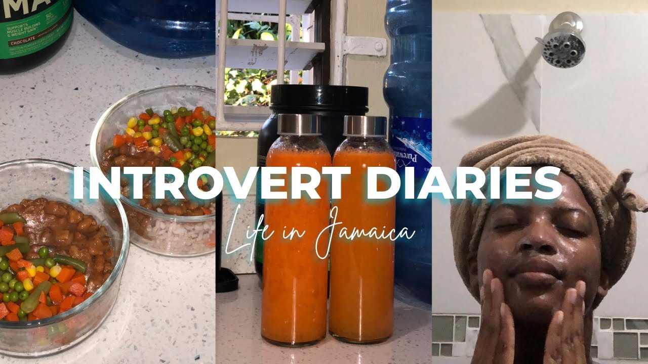 INTROVERT Diaries | Most of My Days Look Like This
