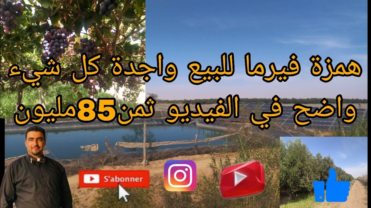🔴ليس متوفرا انه مباع🔴همزة جديدة للبيع مزرعة مجهزة بلكامل5 هكتار مغروس فيها لعنب وزيتون  ثمن85مليون