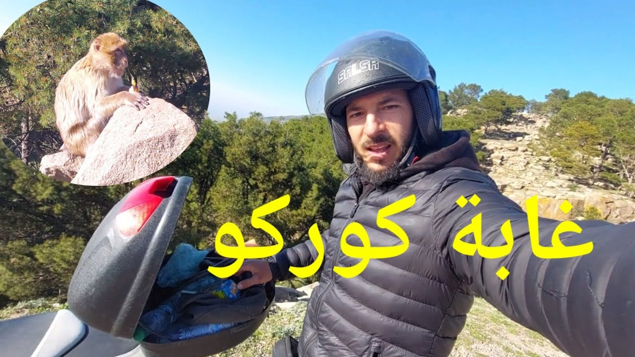غابة كوركو إقليم ناظور مكان الراحة والهدوء