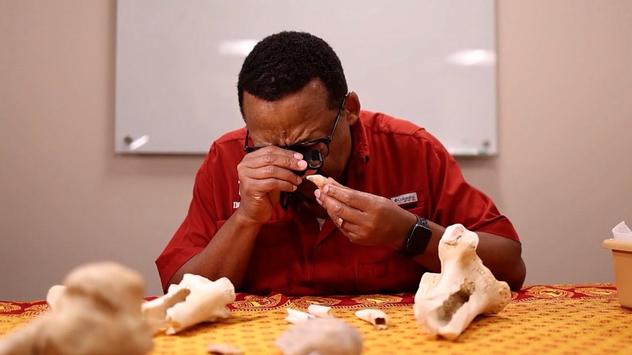 Research Spotlight: Paleoanthropologists Discover New Set of Ancient Tools