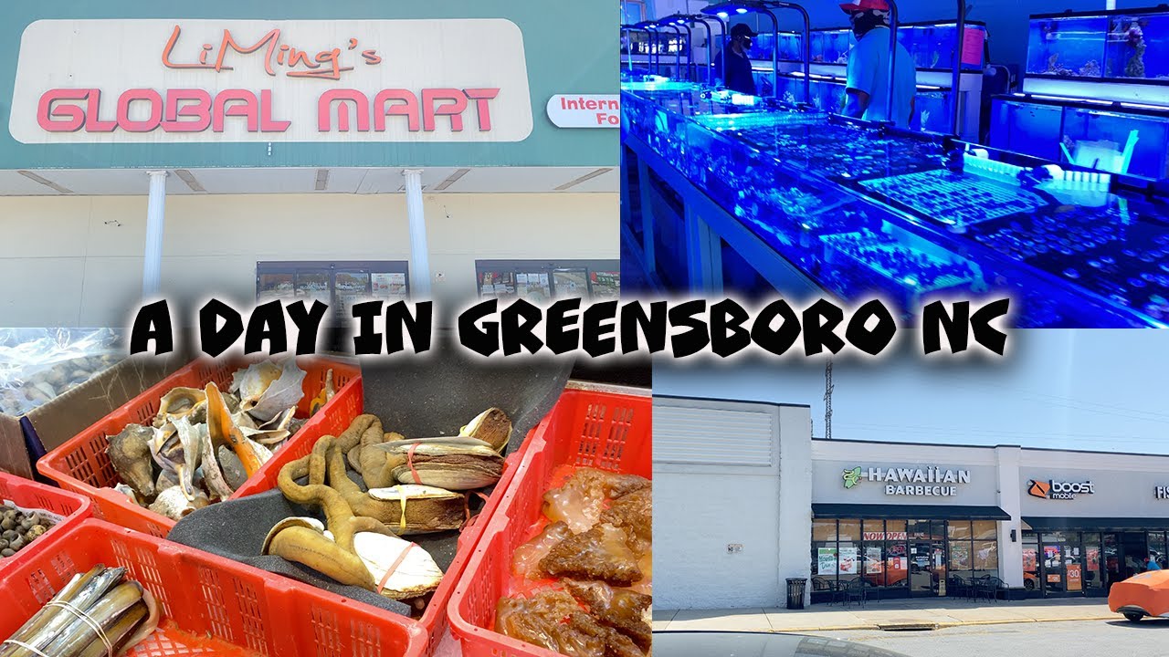 A DAY IN GREENSBORO NC| weekly vlog| shop with me| plant shopping| PRISSY P| charlotte nc
