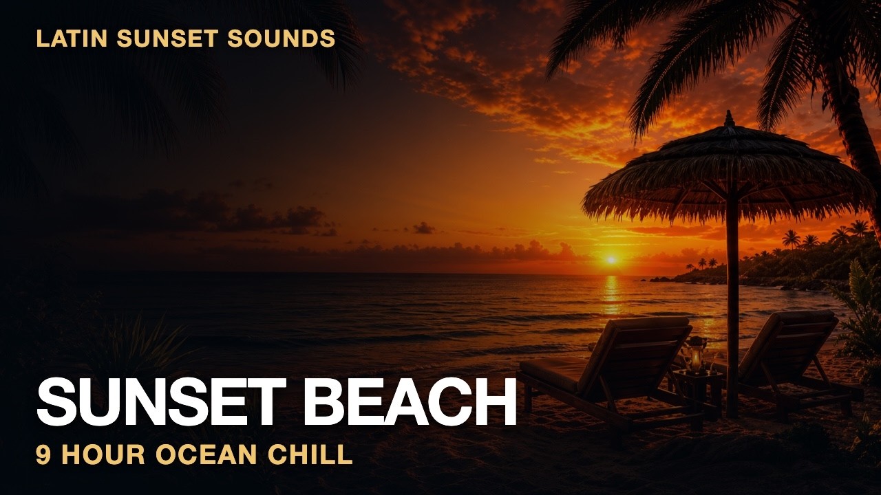 🌴 Sunset Chill Beach 24/7 | Relax Music & Latin Chill House