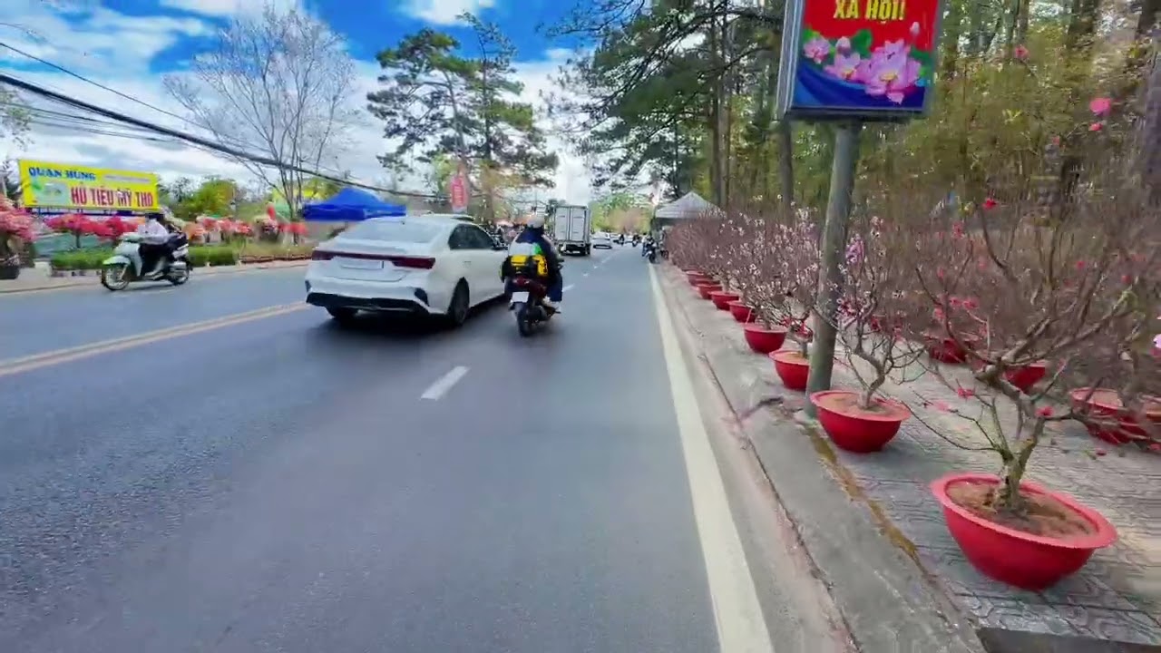 Con đường bán hoa Tết tại Đà Lạt ngày 23 âm lịch ! 