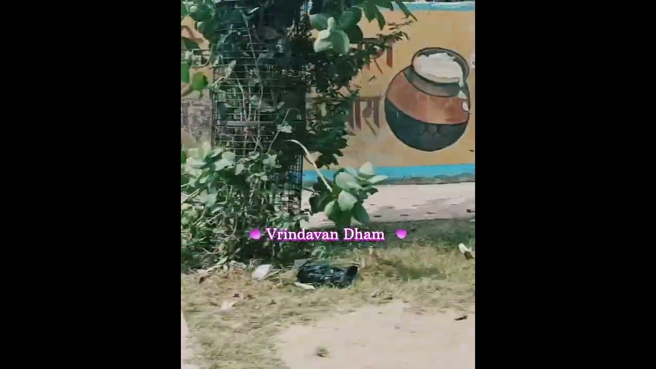 Vrindavan Dham | #vrindavan #darshan #shorts #shortsvideo #premmandir #dham #vrindavandarshan