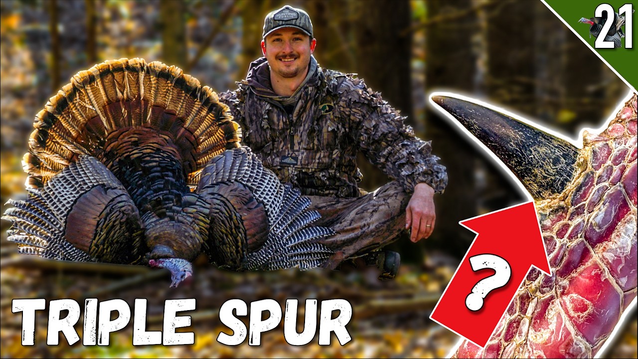 OPENING DAY WISCONSIN Public Land - RARE Turkey?