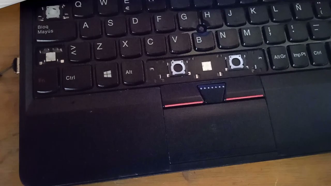 REVIVIENDO UN DINOSAURIO CON BUNSENLABS