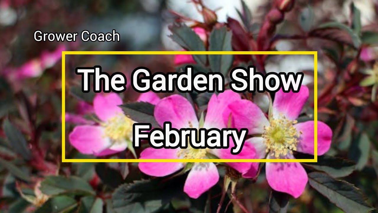 'The Garden Show' February Garden Chats