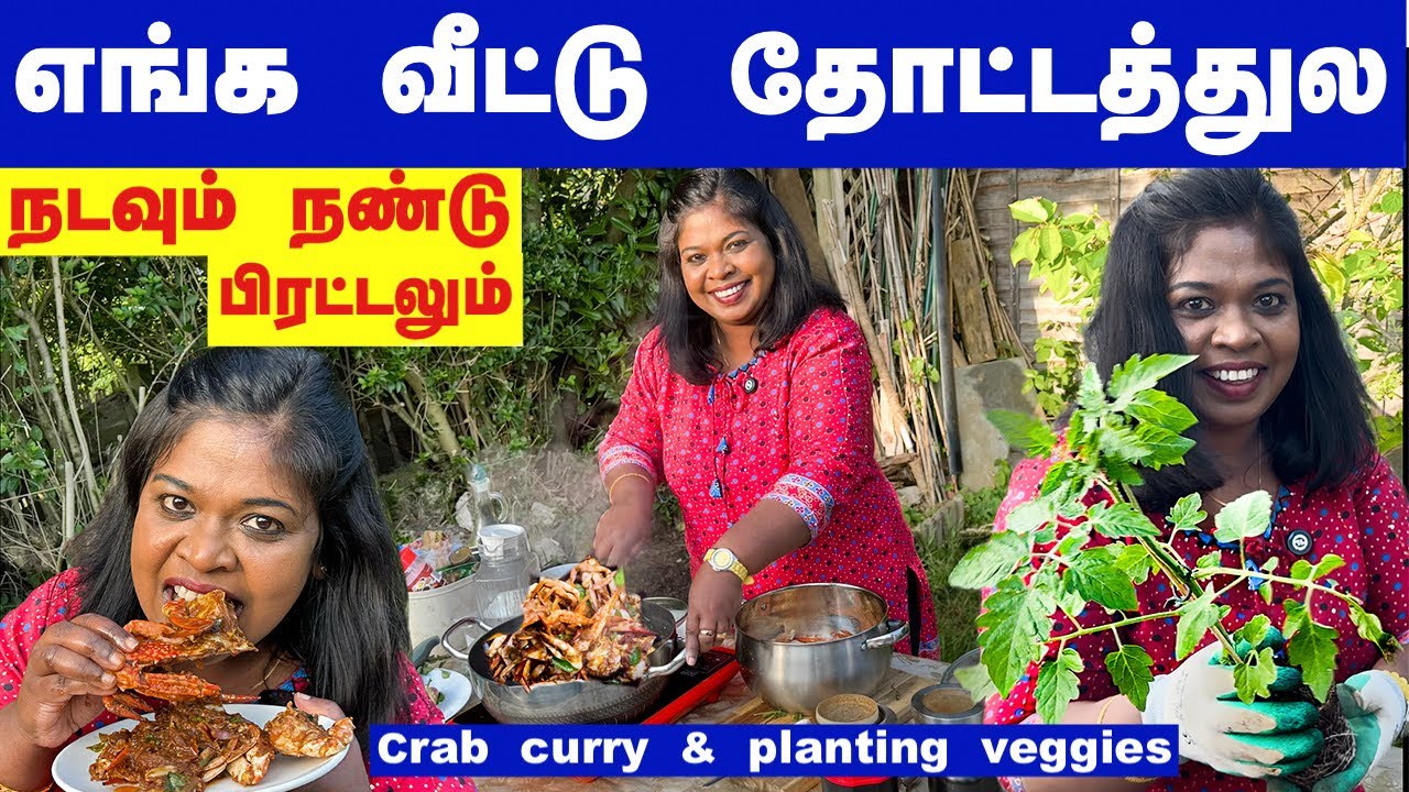 🦀நண்டு வருவலோட கார்டனில காய்கறி செடி நட ஆரம்பிச்சிட்டோம்/planting veggies & crab curry in our garden