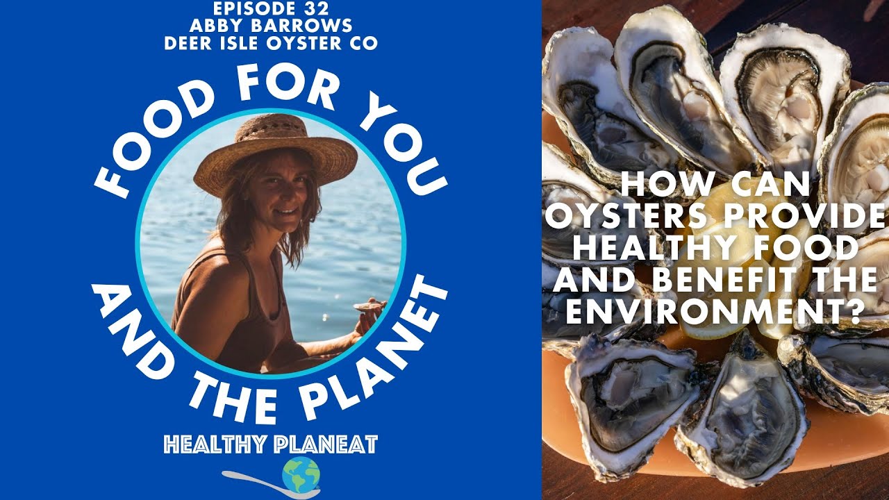 How Can Oysters Provide Healthy Food and Benefit the Environment?