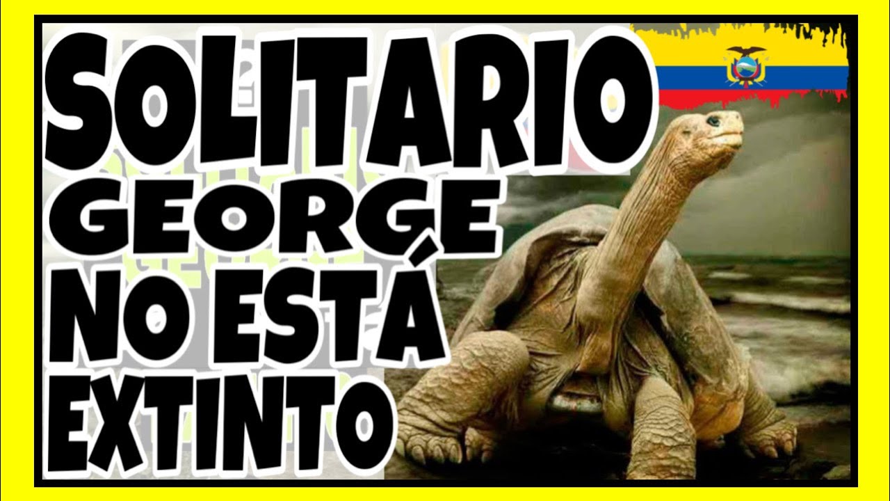 🐢 SOLITARIO #george #tortuga #galápagos #ecuador  🇪🇨 Jota Xtremo Duro #adventure 🦎 #galapagos