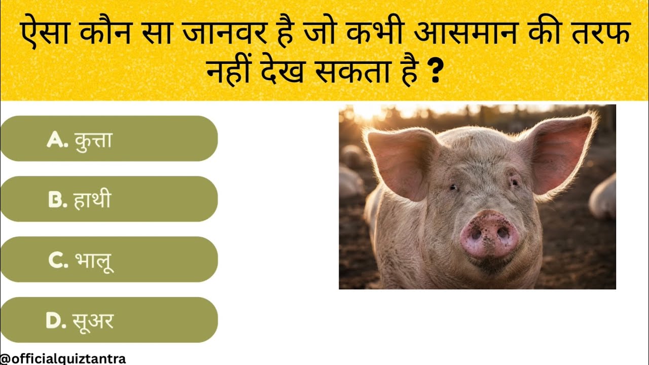 General Knowledge Most Important Question || GK Question || GK Quiz || Quiz Tantra ||