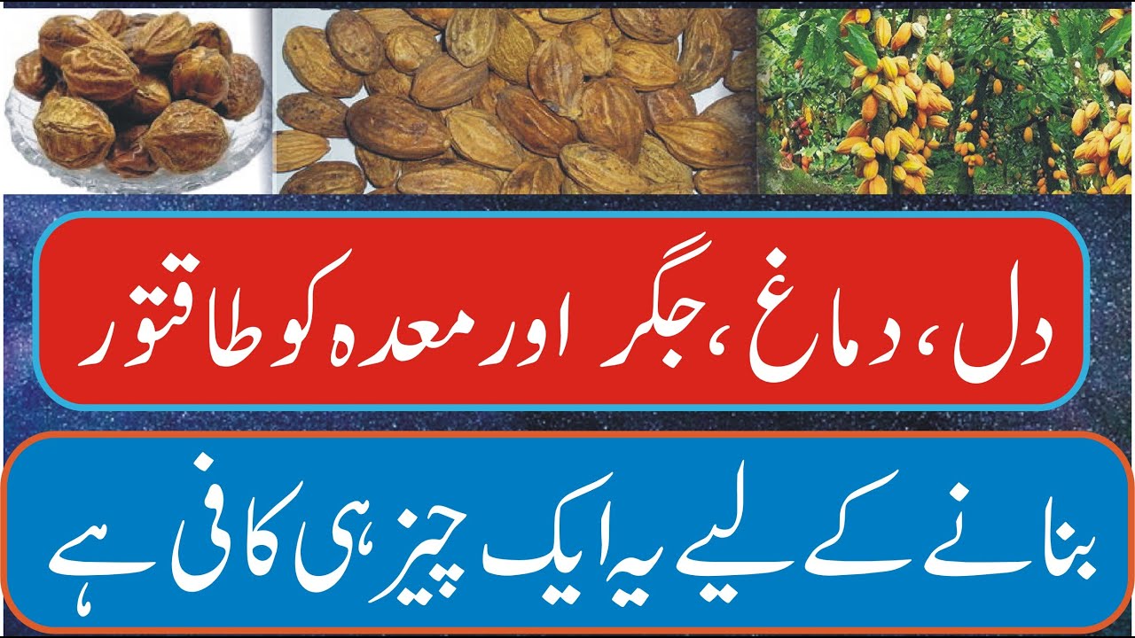Harar Ke Fayde | Harad Benefits | Hareer ke faide | (terminalia chebula)  Hakeem Ahmad Ali Qamar