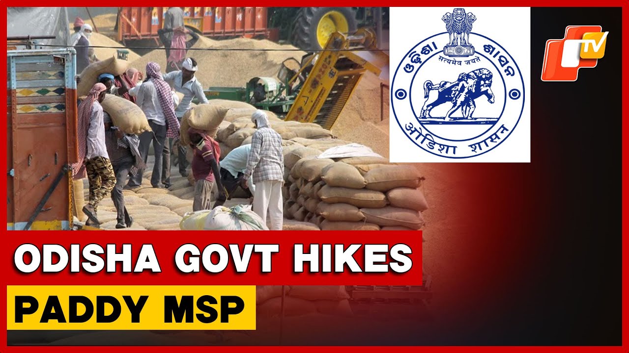 Odisha Government Raises Paddy MSP By Rs 69 For Kharif 2025, Farmers To Benefit