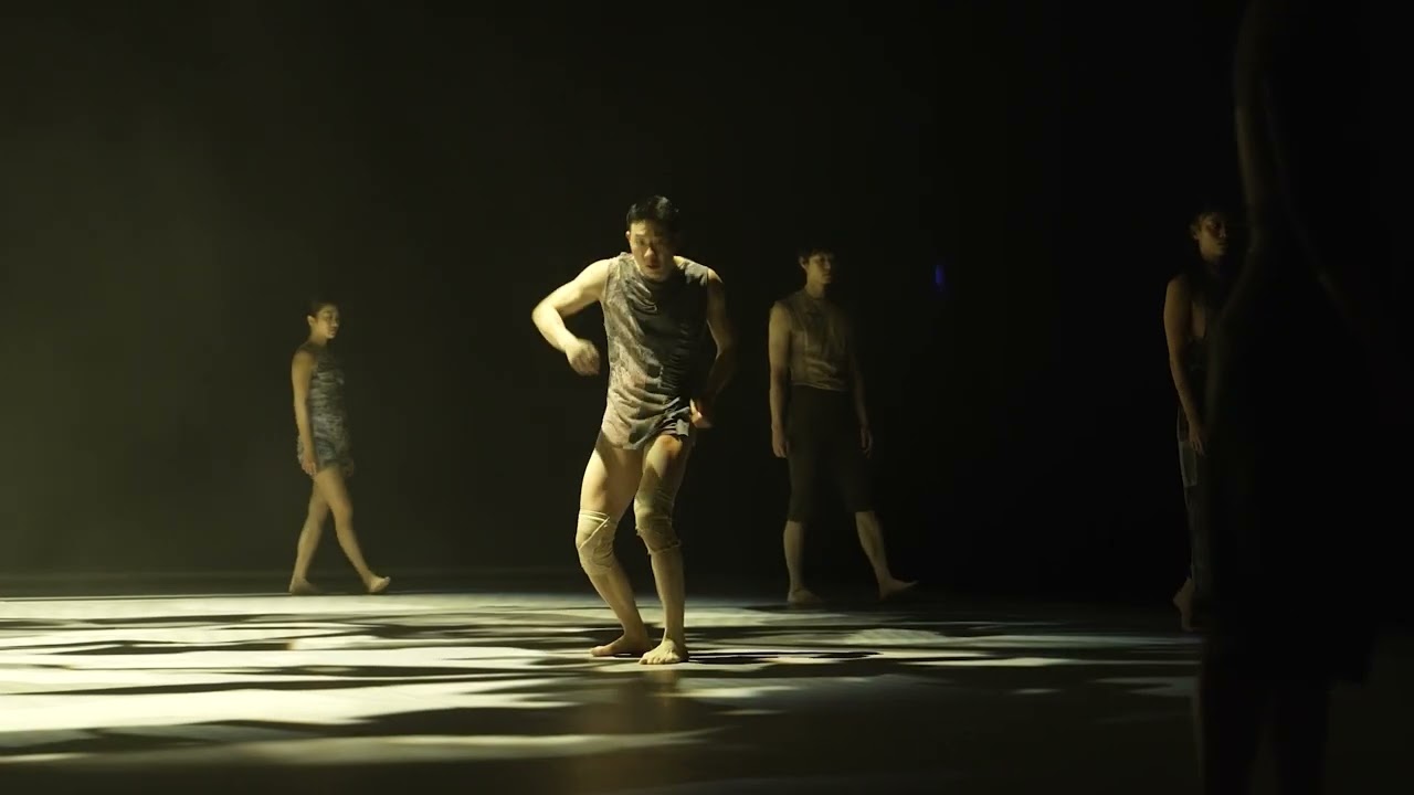 Jungle by Korea National Contemporary Dance Company (Trailer)