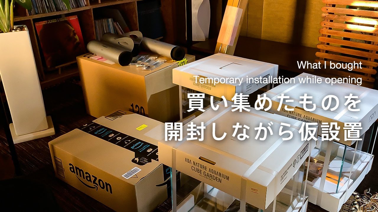 小型水槽をDIYしたスペースに仮設置する休日【アクアリウム】