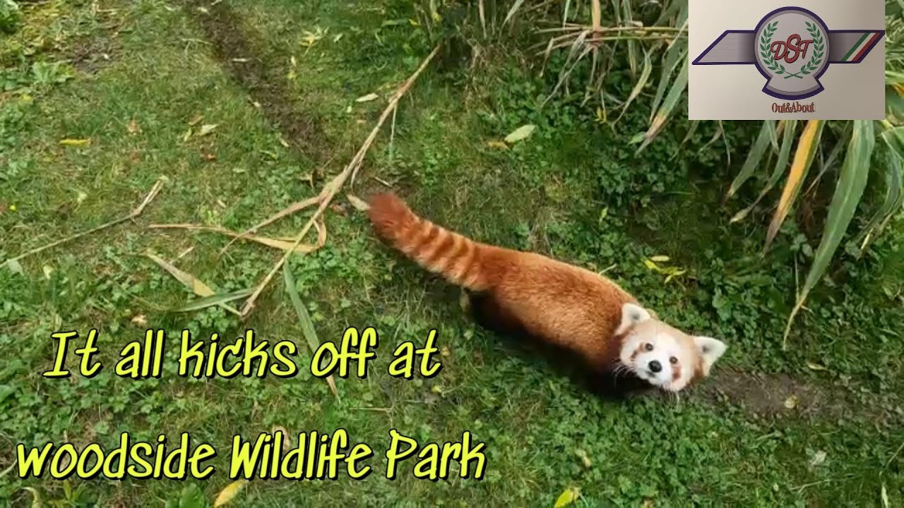 woodside wildlife park Nr Lincoln