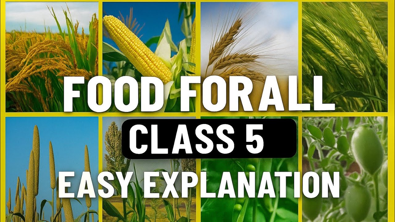 Food For All | EVS Class 5 | 🌾Kharif, Rabi, Summer Crops Explained 🌱| Easy Hindi-English Explanation