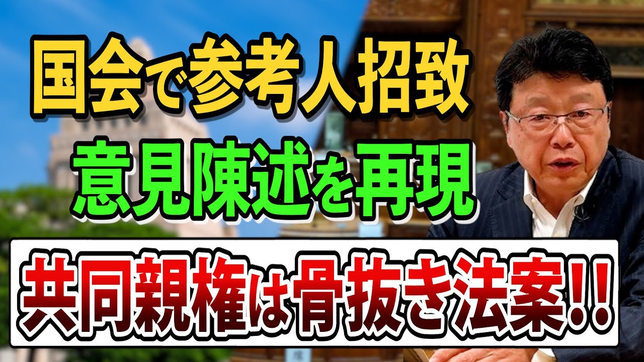 【離婚後・共同親権】導入の民法改正案は骨抜き法案！ 国会での意見陳述を再現