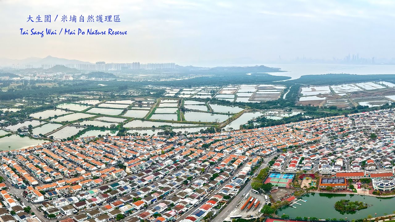【香港好風景/香港好去處/航拍大生圍/米埔自然護理區】Beautiful Hong Kong/Tai Sang Wai /Mai Po Nature Reserve/##DJI AIR3S 