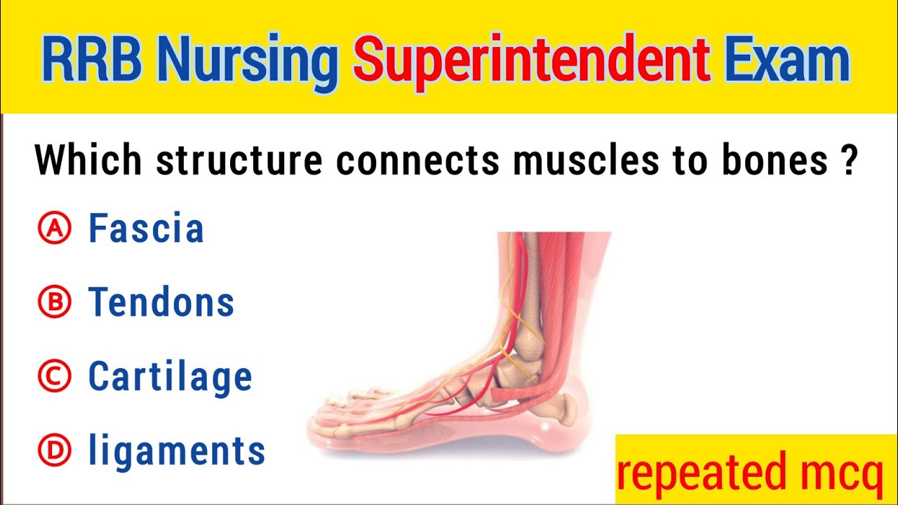RRB Nursing Superintendent exam | Nursing Superintendent mcq | Nursing Superintendent mcq questions