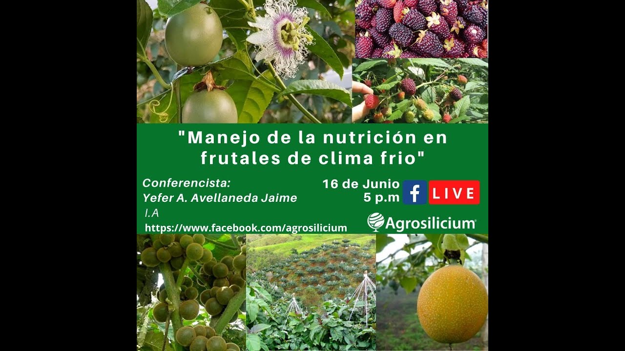 Agrosilicium- Manejo de la nutrición en frutales de clima frío