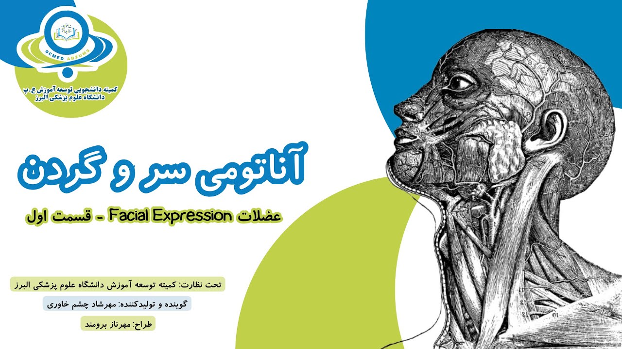 آناتومی عضلات صورت - قسمت اول - سر و گردن