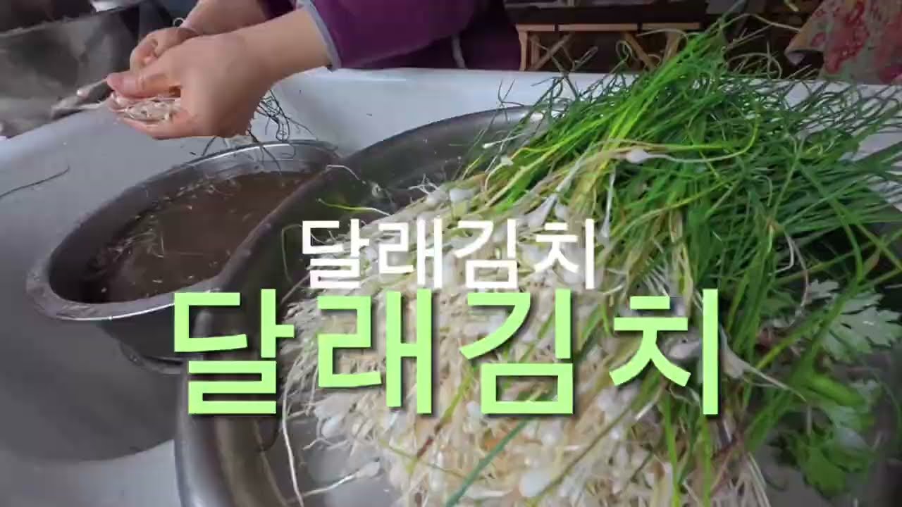 봄나물 달래로 김치담기(2025)#slowcooking#gardening #simplelife 