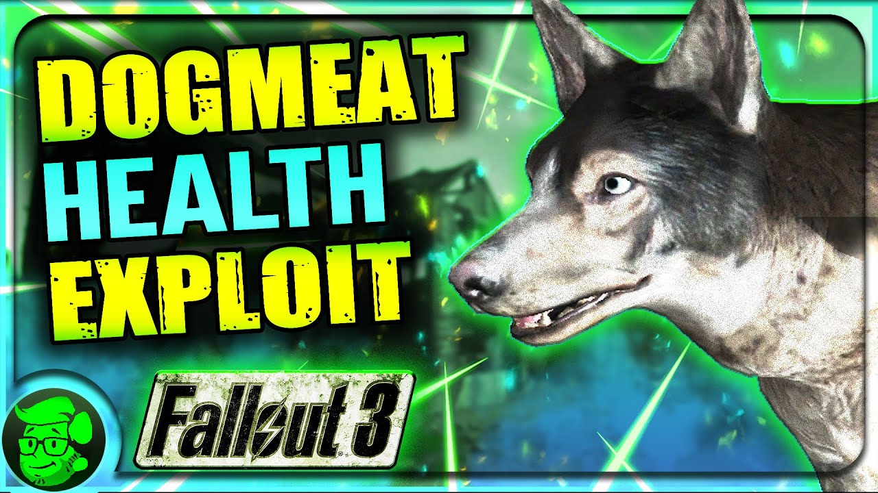 I REGRET Ignoring Fallout 3's Dogmeat Health EXPLOIT