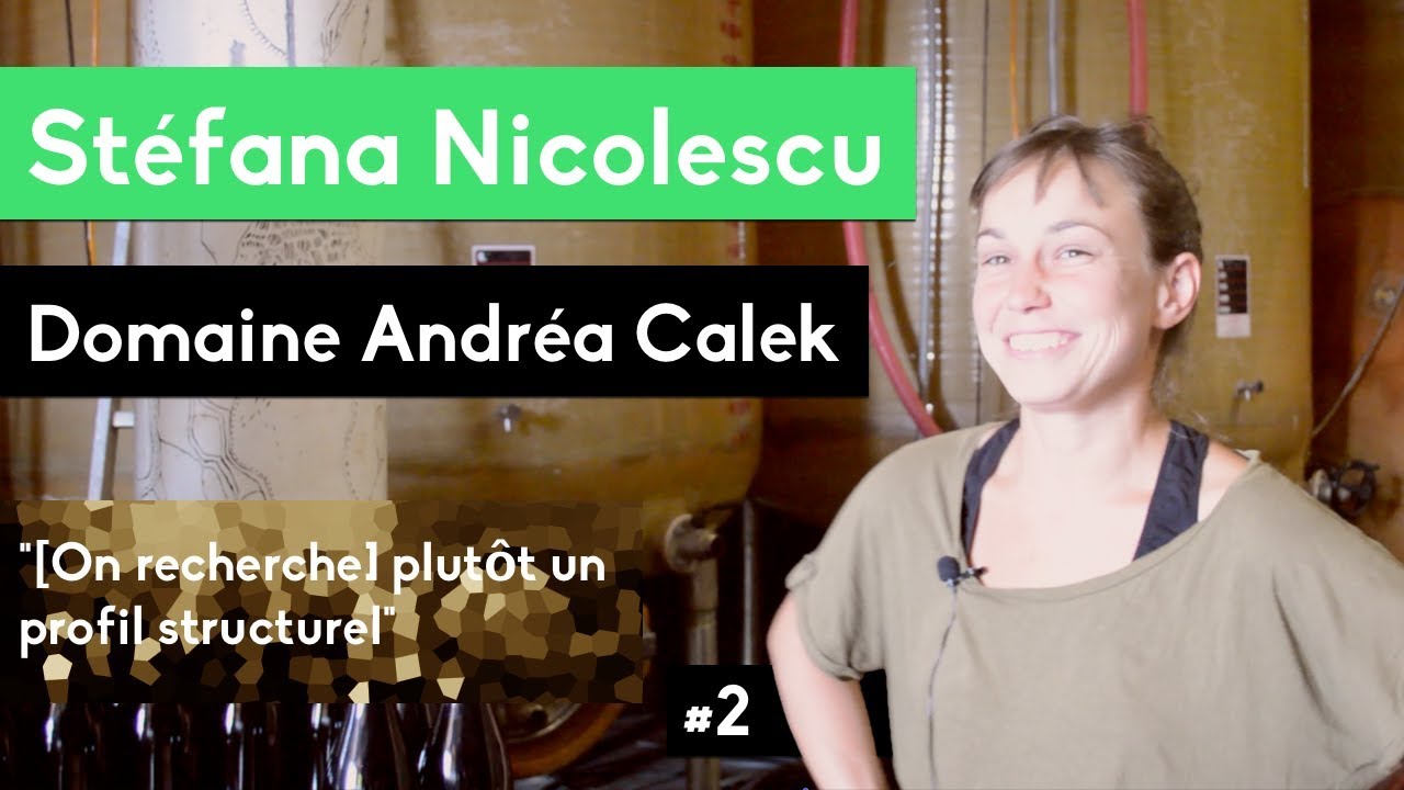 Domaine Andréa Calek - La vinification d'A toi nous II
