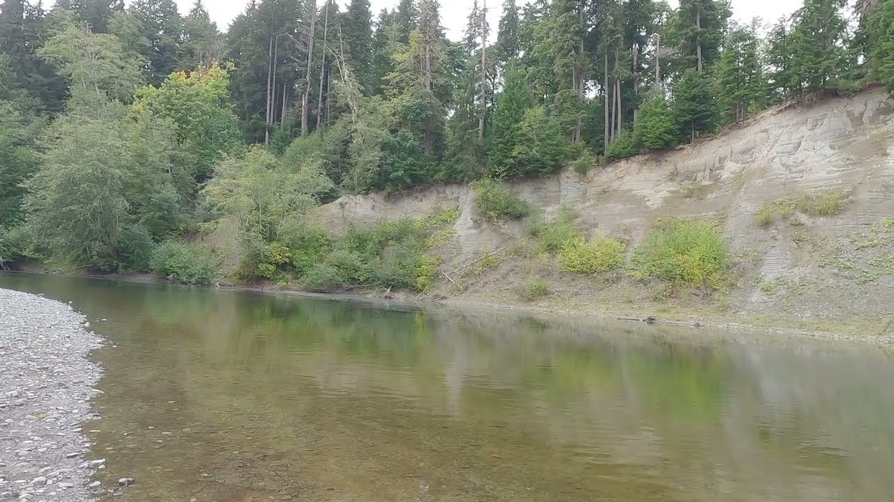 Мертвая рыба после нереста