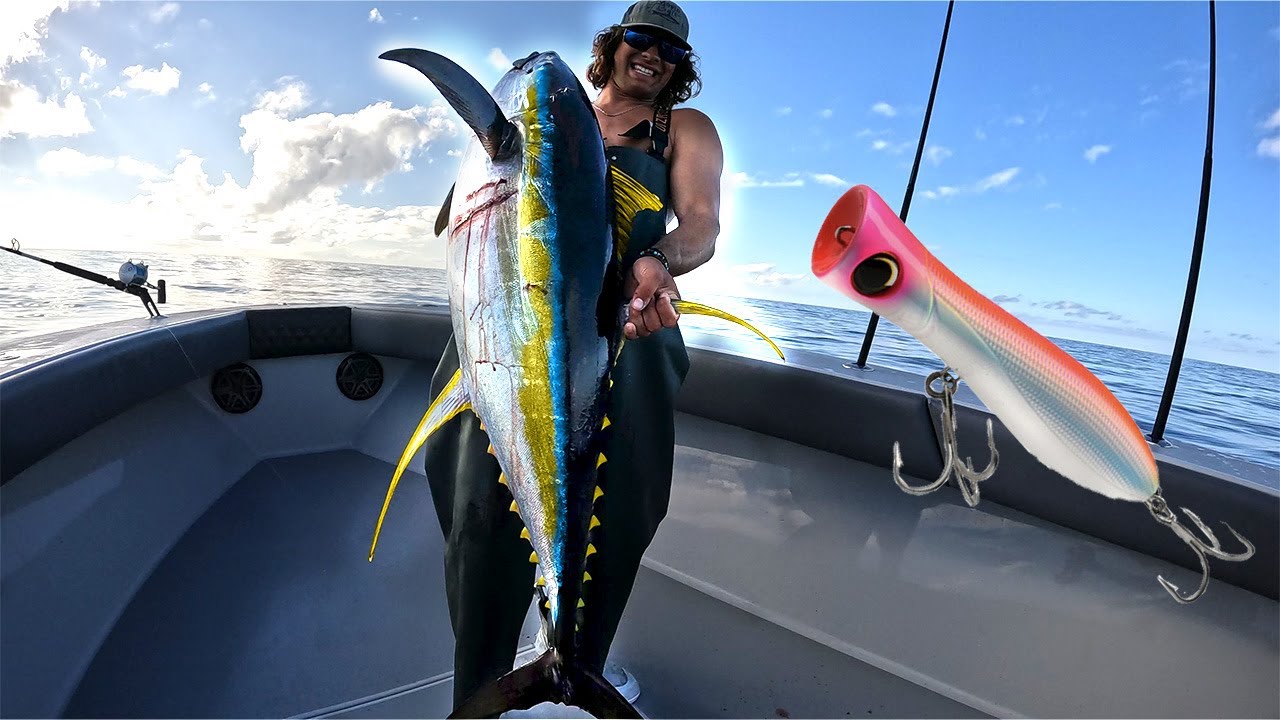 YELLOWFIN TUNA FRENZY… on POPPERS!!!!