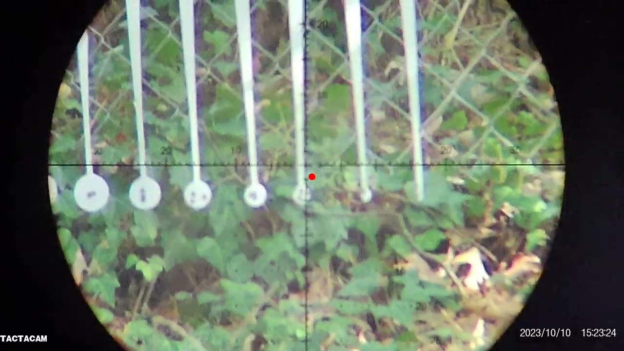 XM1 Bullshark KYL @ 50 yards