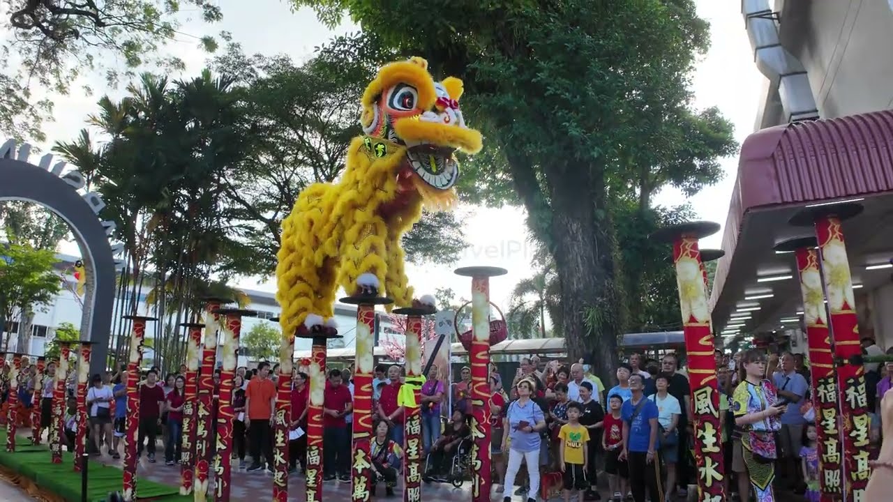 [4K] Singapore Wee Ghee Athletic Association | Pre-Chinese New Year | 14 Feb 2026 | Marsiling Lane