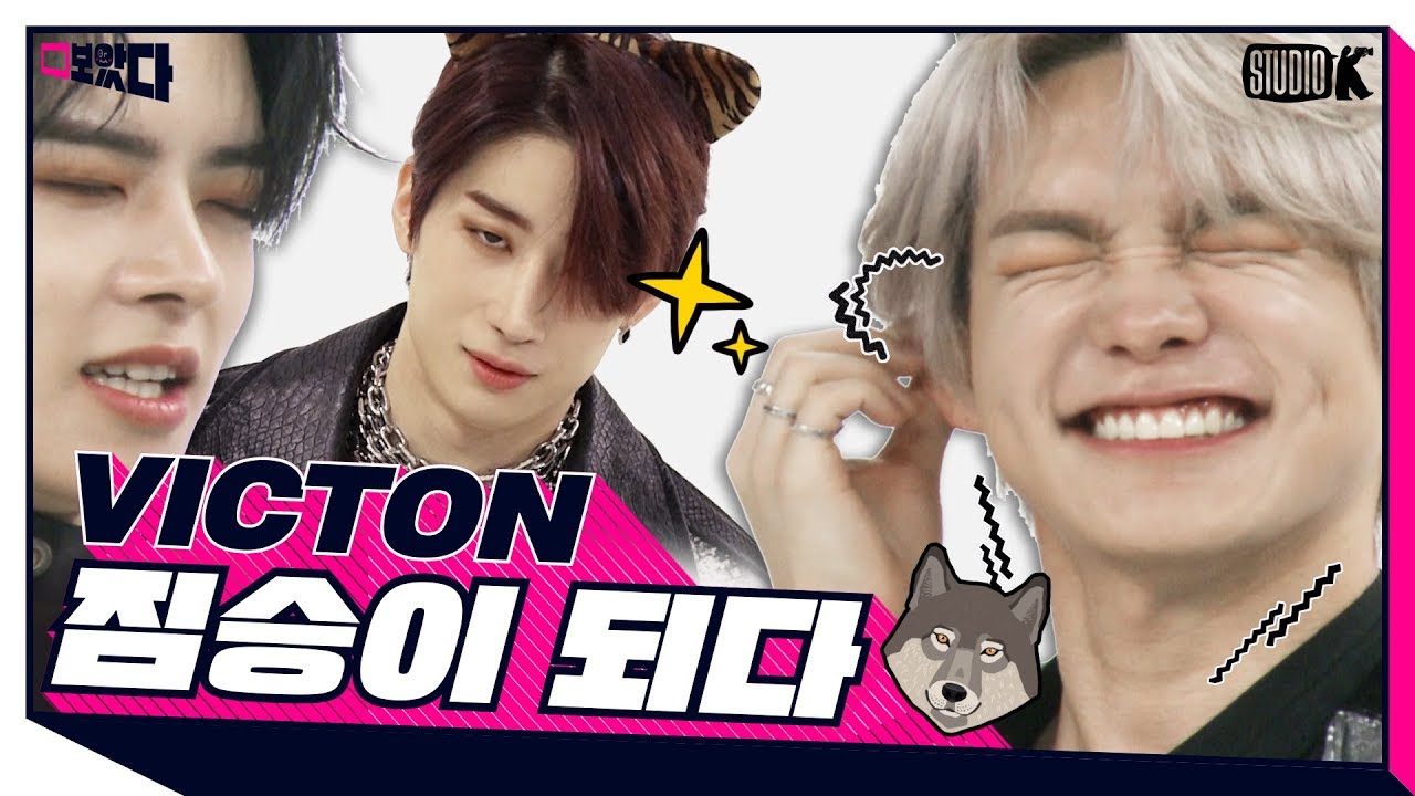 (ENG SUB)짐승돌 빅톤의 세 가지 조건, #목청 #촉각 그리고 #동족애♡ [보았다 ; BOATTA 7화 VICTON]