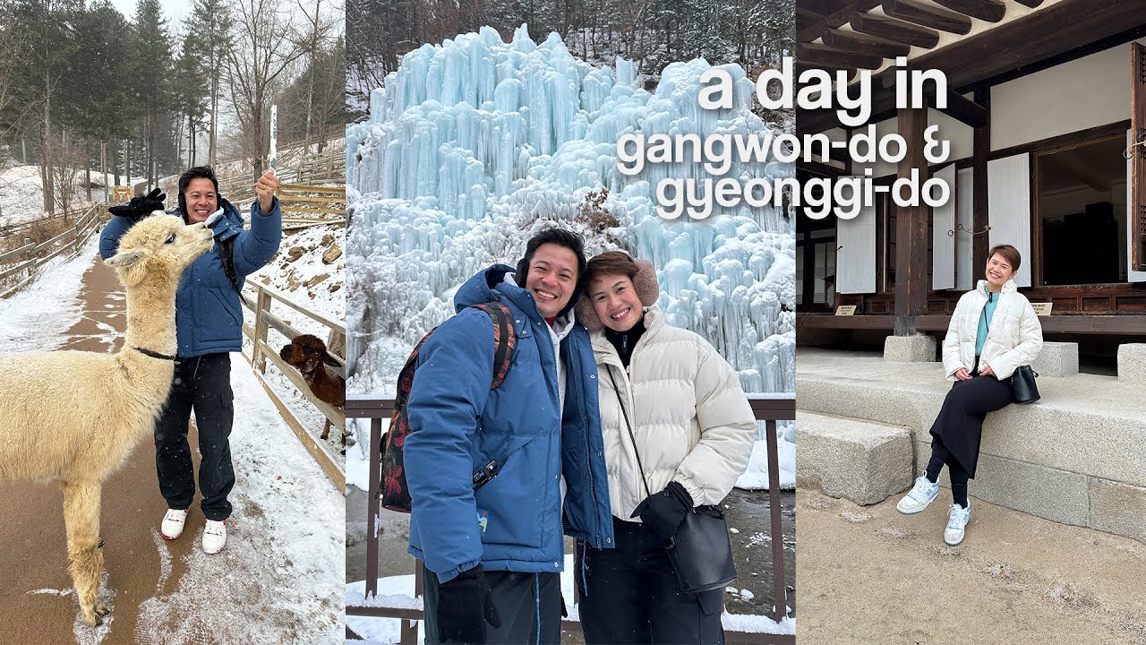 Gangwondo and Gyeonggido Travel Guide | Eobi Ice Valley | Alpaca World | Nami Island