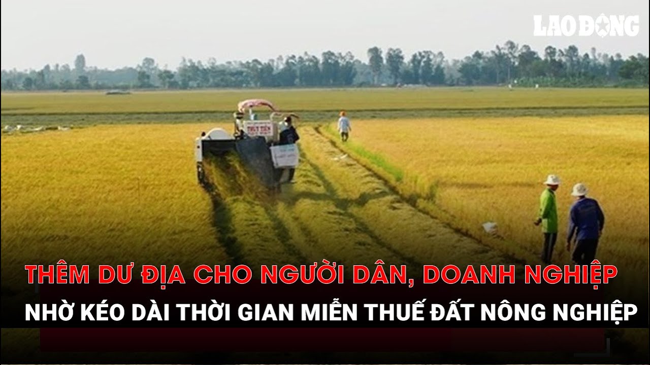 Thêm dư địa cho người dân doanh nghiệp nhờ kéo dài thời gian miễn thuế đất nông nghiệp| Báo Lao Động