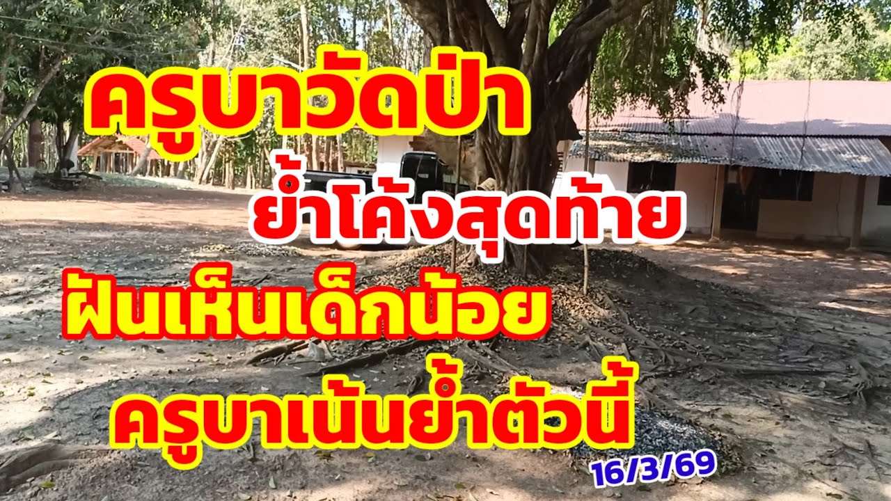 ครูบาวัดป่า ย้ำโค้งสุดท้าย ฝันเห็นเด็กน้อย ครูบาเน้นย้ำตัวนี้ 16/3/69