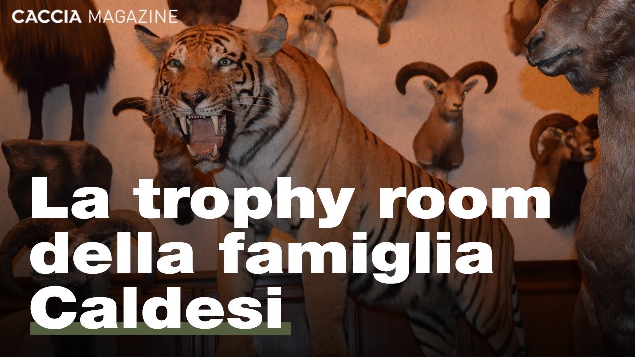 Il tempio della caccia - La trophy room della famiglia Caldesi