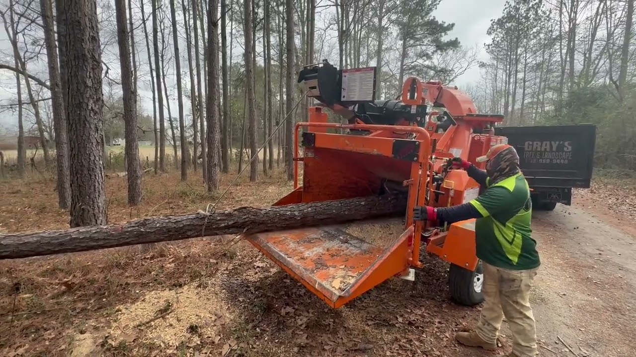 This Wood Chipper Eats Whole Trees 😳 | Bandit 12XP
