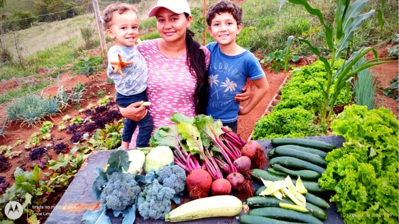 UAUUU! SEGUNDA COLHEITA NA MESMA SEMANA! HORTA ORGÂNICA - IVONE LIMA