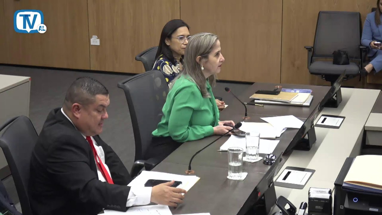 Comisi&oacute;n Permanente Especial de Nombramientos, 14 enero 2026