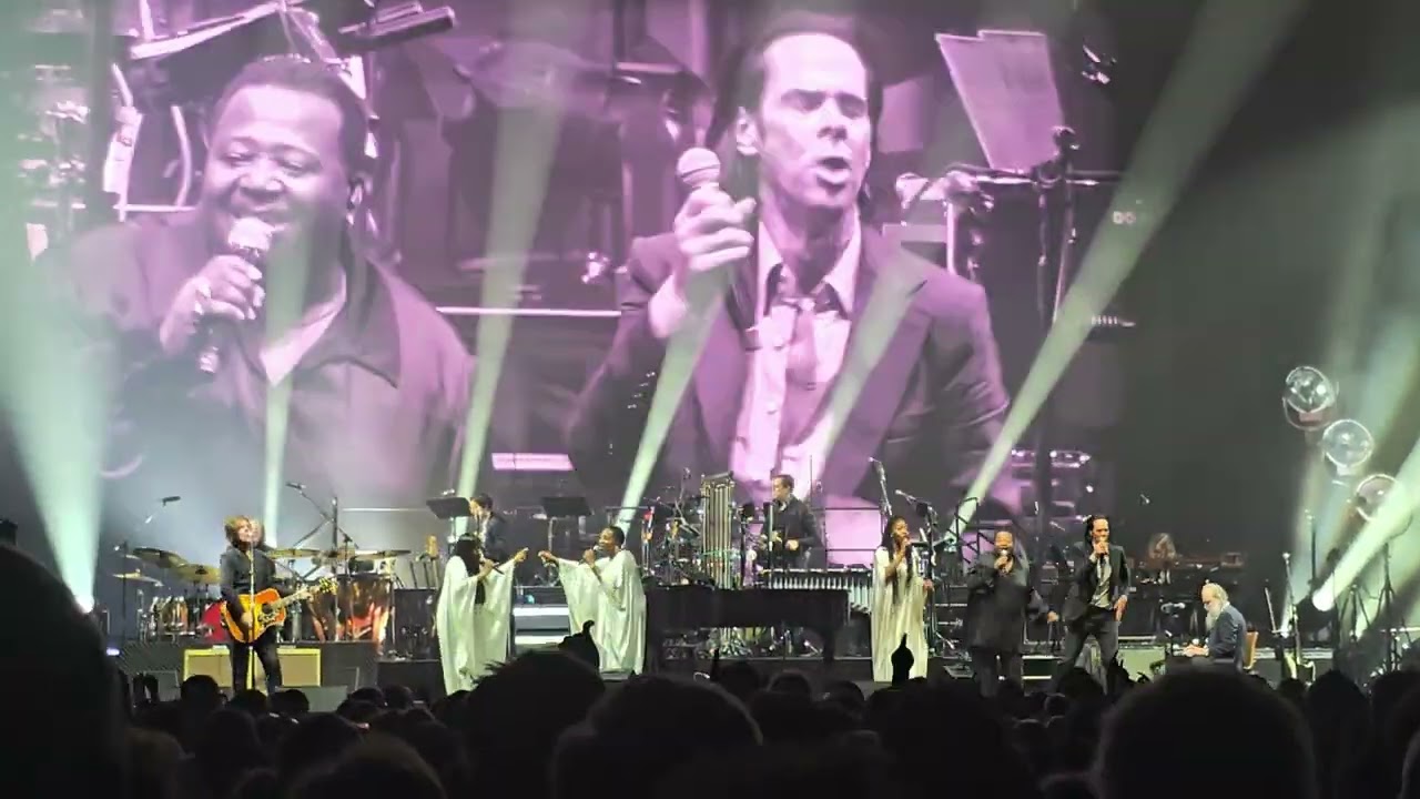 Nick Cave - White Elephant - Antwerp 30.10.24