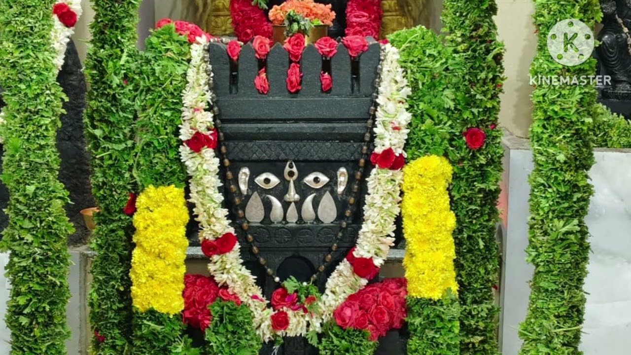 Nivu ಕಲಿಸಿದ ಹಣ ಹೀಗೆ ಆಗಿ ಹೋಯಿತು ಹೀಗೆ ಆಗುತ್ತೆ ಅಂತ ನನಗೆ ತಿಳಿದಿಲ್ಲ