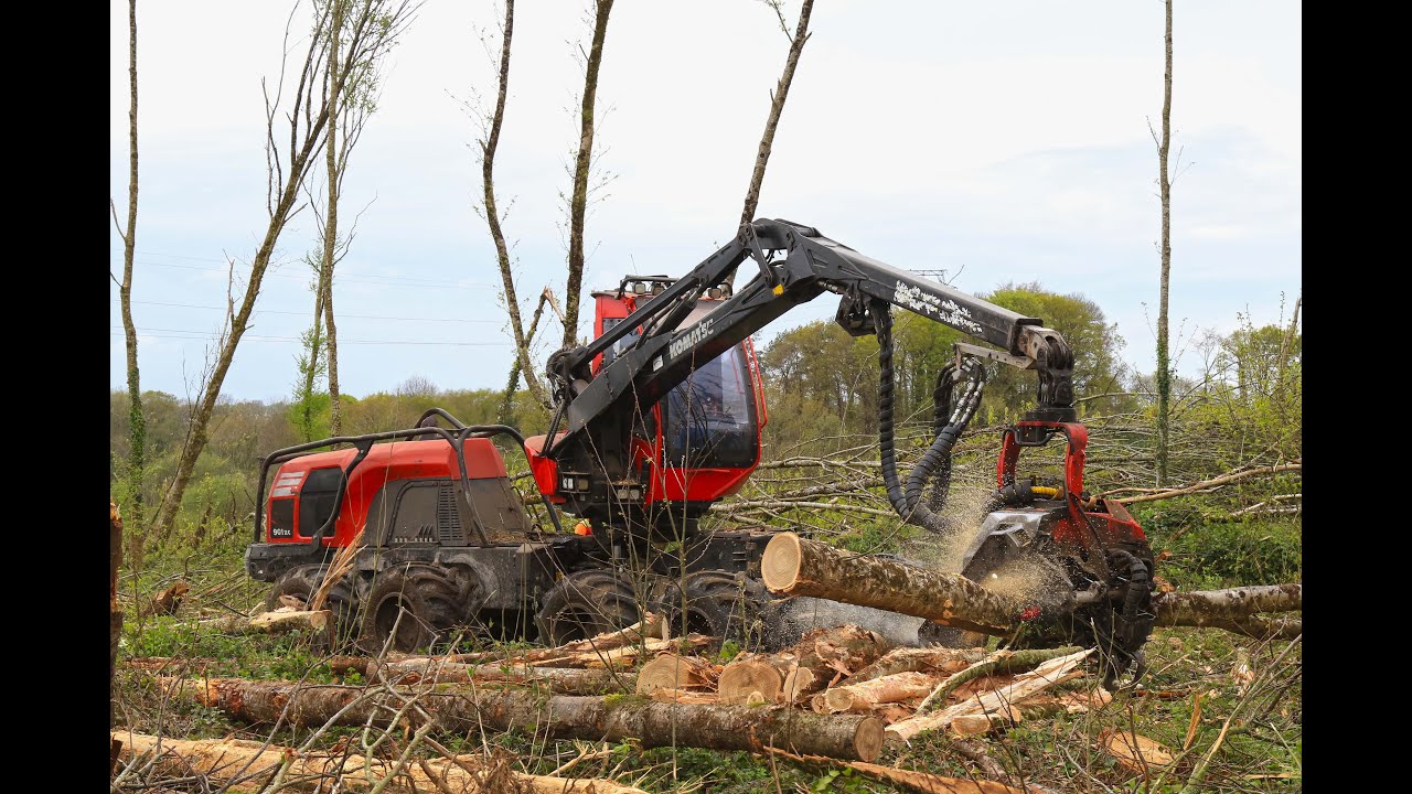 Abattage de chablis de châtaigner, Komatsu 901xc et John Deere 810e