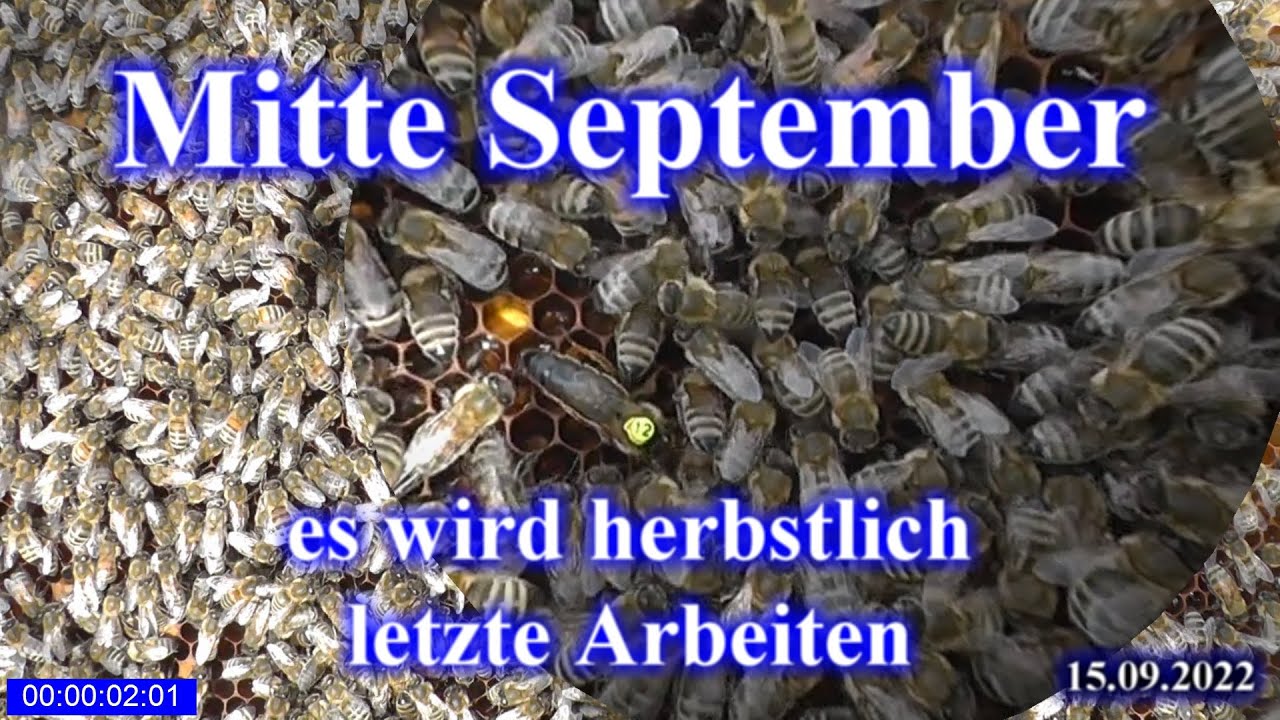 Nassenheider raus Futter rein #Imkerei, #Bienen und #Natur 2022